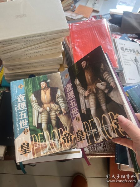 甲骨文丛书·皇帝：查理五世传