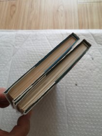 布老虎丛书：壶中日月，牡丹的拒绝（散文卷）2本合售