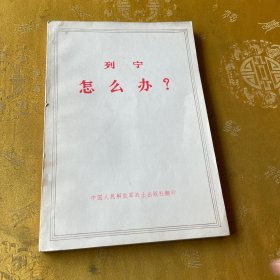 列宁怎么办？