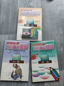 特级教师月月重点辅导 初三 语文阅读+语文小说+语文语法（3本合售）