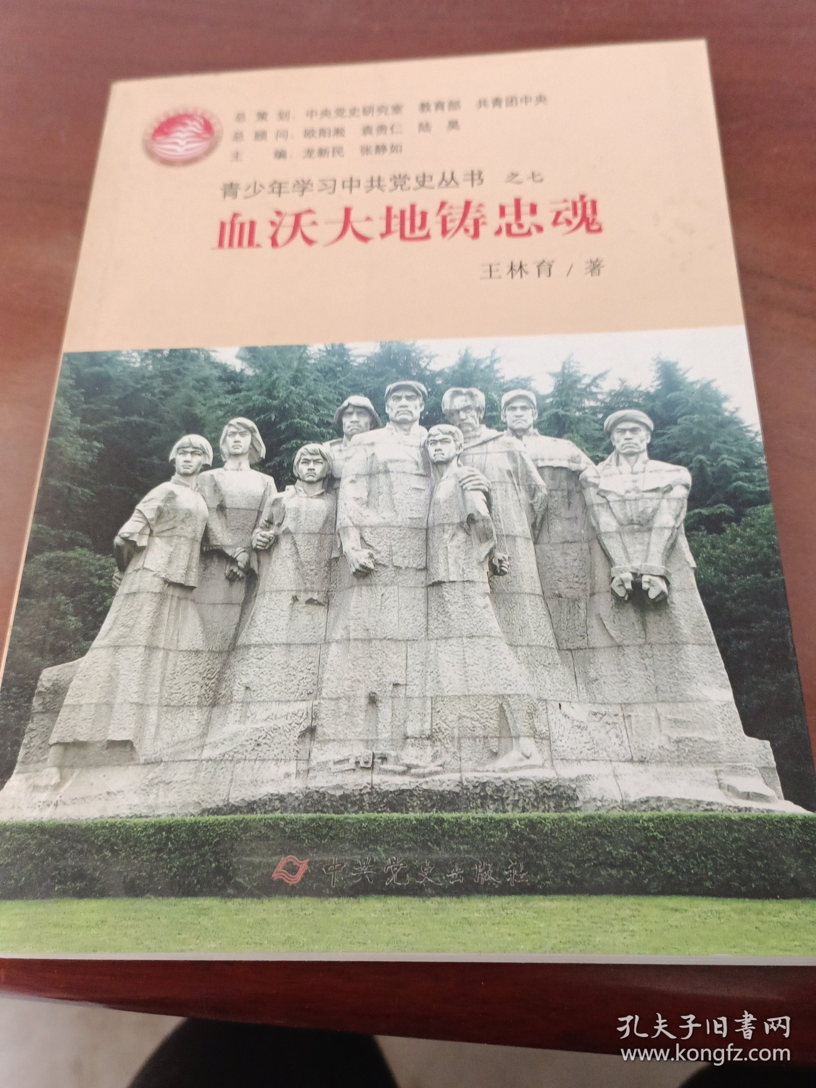 青少年学习中共党史丛书之7：血沃大地铸忠魂