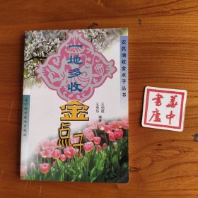 农民增收金点子丛书：一地多收金点子