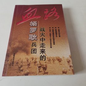 血路 战火中走来的杨罗耿兵团