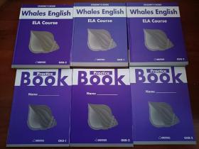 鲸鱼外教培优whales English ELA course GKB-1-2-3 practice book1-3（六本合售）