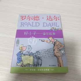 好小子-童年故事：罗尔德·达尔作品典藏