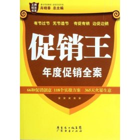 王牌培训书系：促销王·年度促销全案