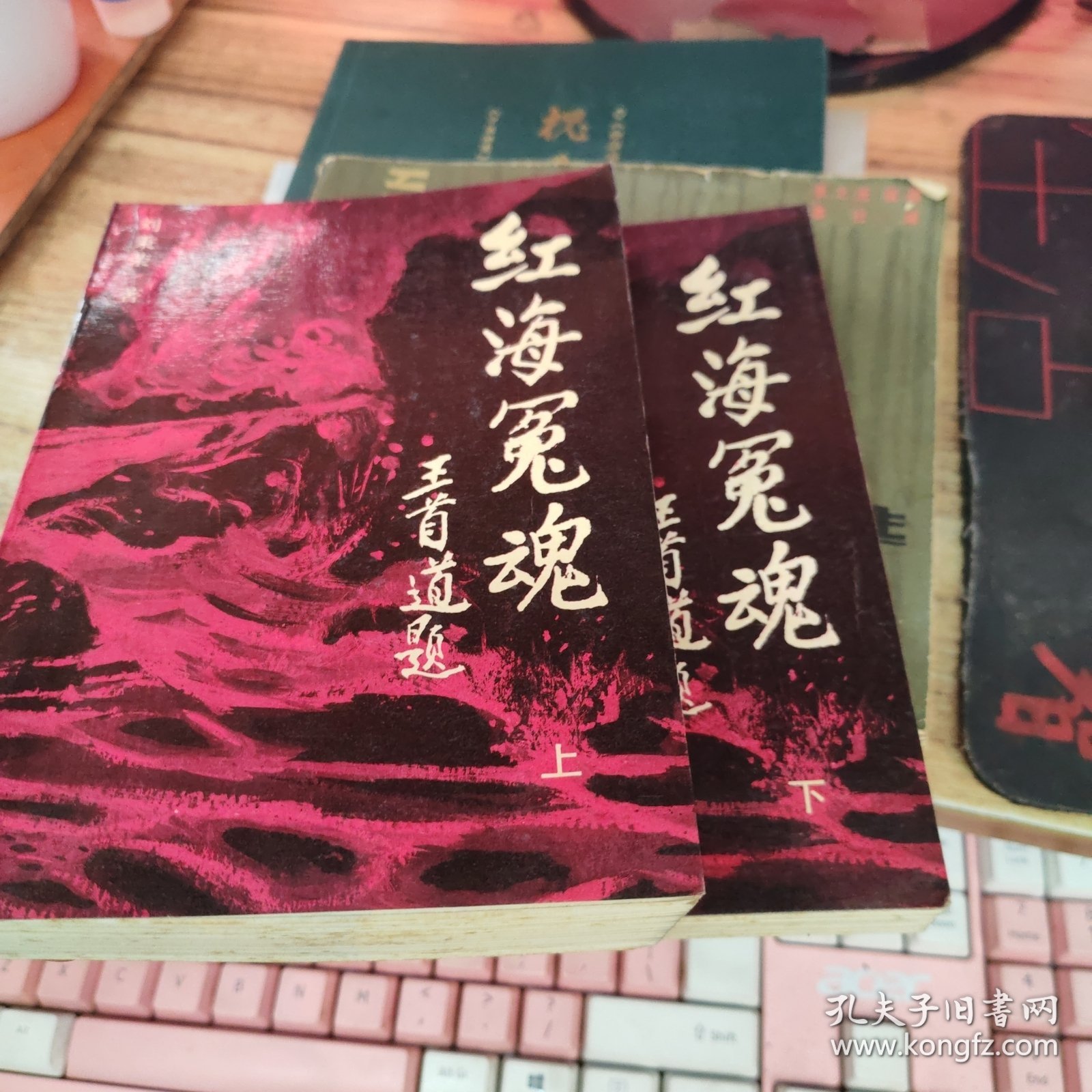 红海冤魂（上下册）