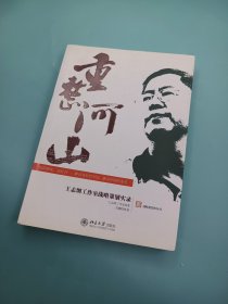 重整河山：王志纲工作室战略策划实录