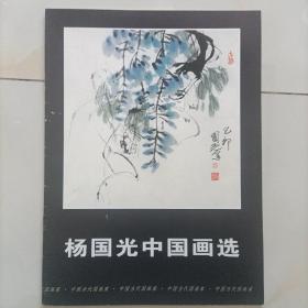 杨国光中国画选