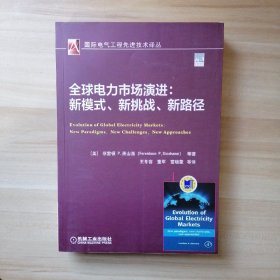 全球电力市场演进：新模式、新挑战、新路径