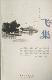 飞集