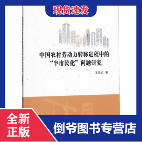 中国农村劳动力转移进程中的半市民化问题研究