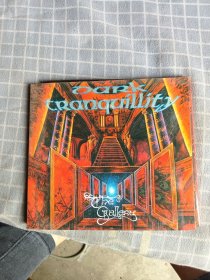摇滚乐：Dark Tranquility重金属乐队CD专辑The Gallery