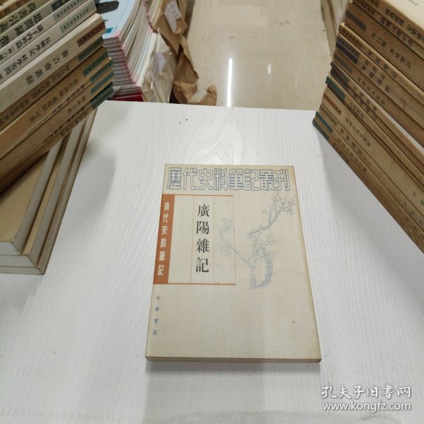 历代史料笔记丛刊·清代史料笔记：广阳杂记