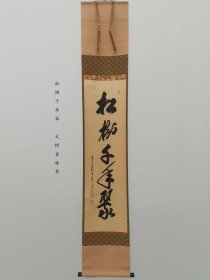 茶挂 松树千年翠 大桥香林书 日本回流字画挂轴文房用品