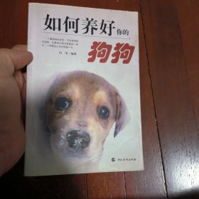 如何养好你的狗狗