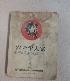 农业学大寨/