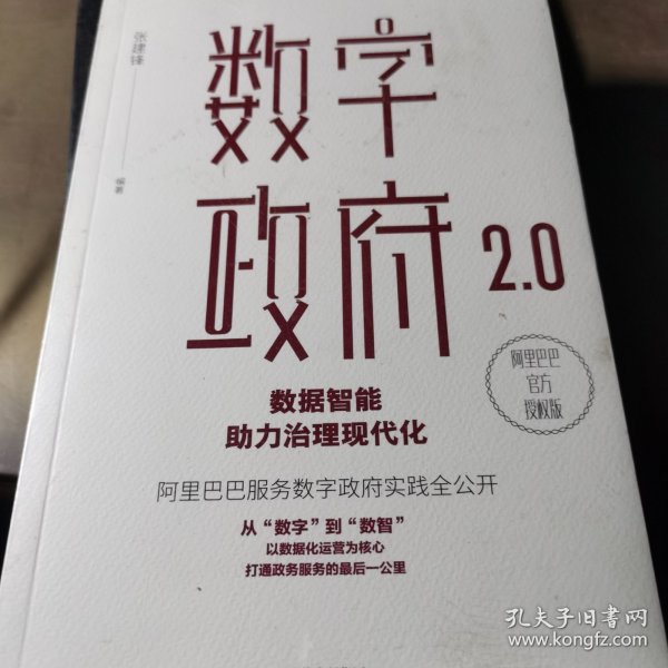 数字政府2.0：数据智能助力治理现代化