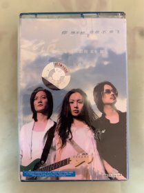 老磁带   飞儿乐队 同名专辑   广东白天鹅文化企业有限公司发行