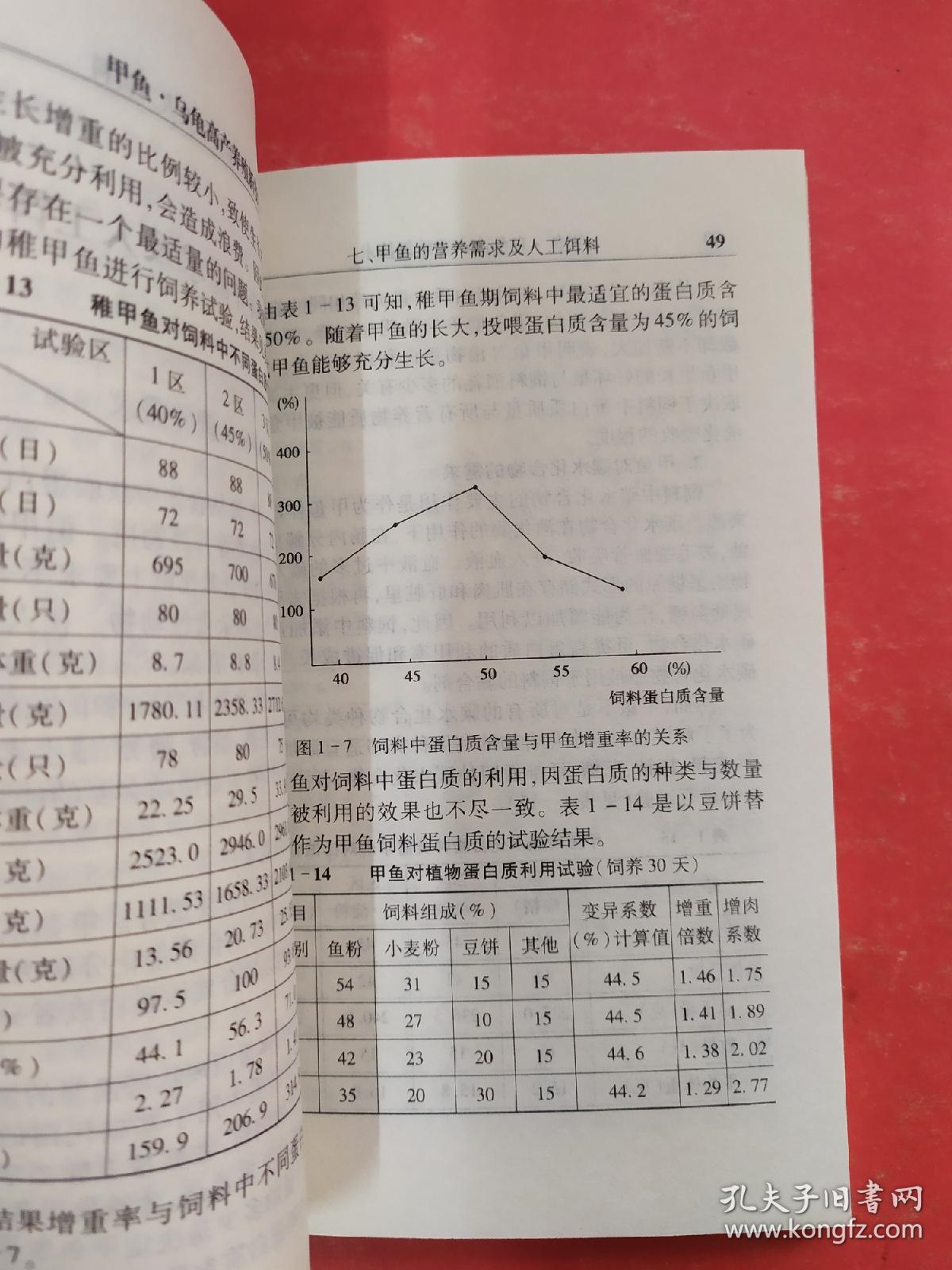 甲鱼乌龟高产养殖新技术