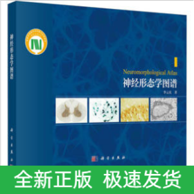 神經(jīng)形態(tài)學(xué)圖譜