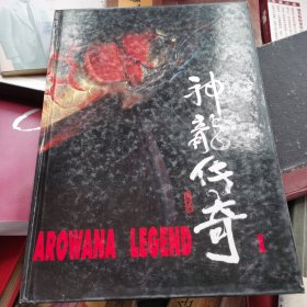 神龙传奇1