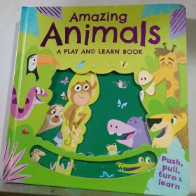 Amazing Animals A PLAY AND LEARN BOOK
