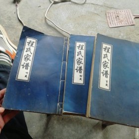 程氏家谱 听箴、言箴、动箴，三册合售【安徽省宿州，濉溪地区】