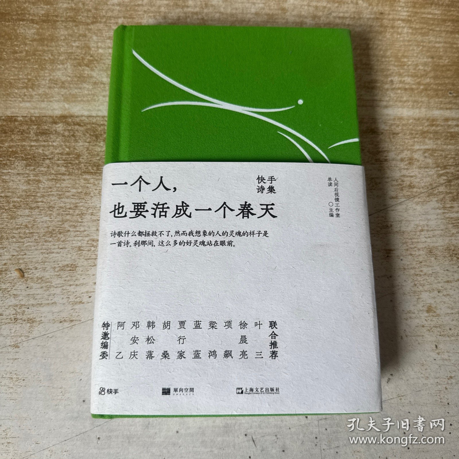 一个人，也要活成一个春天：快手诗集（写诗，就是和另一个自己对话）