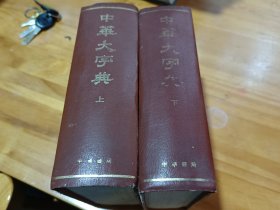 中华大词典（上下）