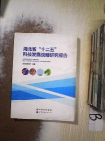 湖北省“十二五”科技发展战略研究报告