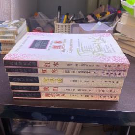 白银时代丛书：红笑、彼得堡、红木、我们、踏浪女人【5册合售 大32开 98年一印 看图见描述】