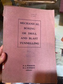 MECHANICAL BORING OR DRILL AND BLAST TUNNELLING（机械钻进还是凿岩爆破来开挖隧道）