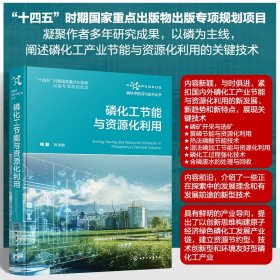 磷科学前沿与技术丛书--磷化工节能与资源化利用