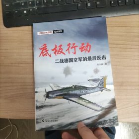 底板行动:二战德国空军的最后反击