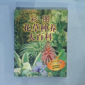 彩图家庭花草种植大百科