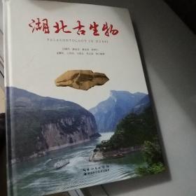 湖北古生物