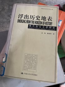 浮出历史地表：现代妇女文学研究（扉页撕掉了）