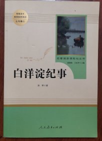 白洋淀纪事 名著阅读课程化丛书（统编语文教材配套阅读）七年级上