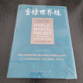 当惊世界殊菲迪克工程项目奖中国获奖工程集