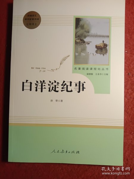 白洋淀纪事 名著阅读课程化丛书（统编语文教材配套阅读）七年级上