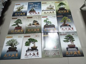 花木盆景，2008年1-12期全，12本合售