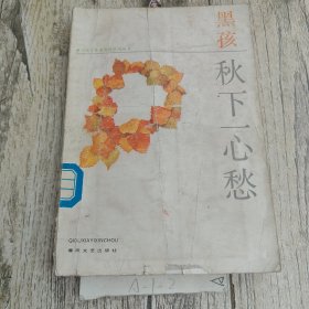 秋下一心愁
