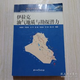 海外油气勘探进展系列丛书：伊拉克油气地质与勘探潜力
