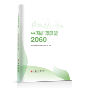 中国能源展望2060