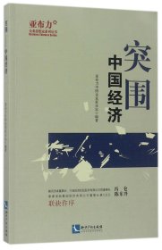 突围(中国经济)/亚布力企业思想家系列丛书 9787513047098