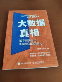 大数据真相：数字经济时代你需要知道的事儿