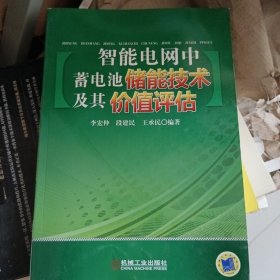 智能電網(wǎng)中蓄電池儲(chǔ)能技術(shù)及其價(jià)值評(píng)估