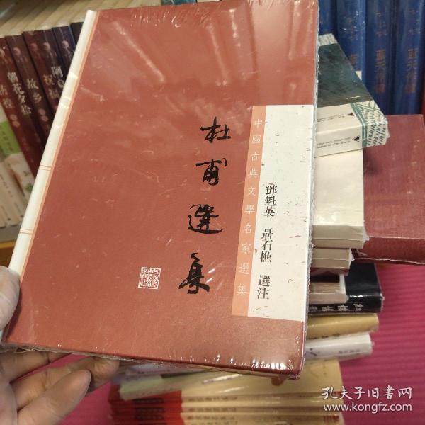 杜甫选集：中国古典文学名家选集