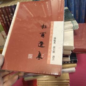 杜甫选集：中国古典文学名家选集